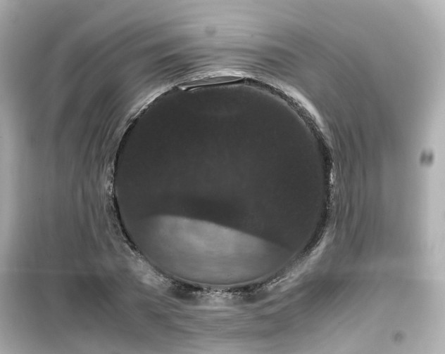 X0000099490785200805221337