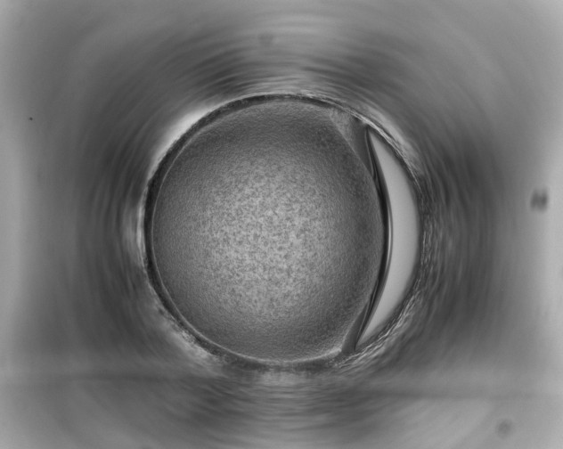 X0000099490788200805221337