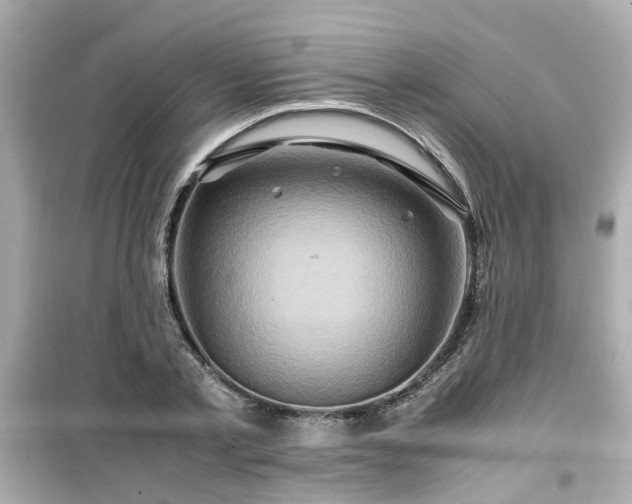 X0000099490789200805221337