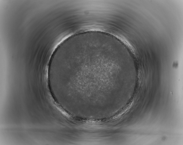 X0000099490790200805221337