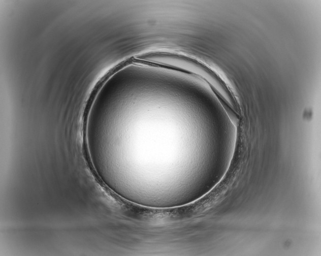 X0000099490791200805221337
