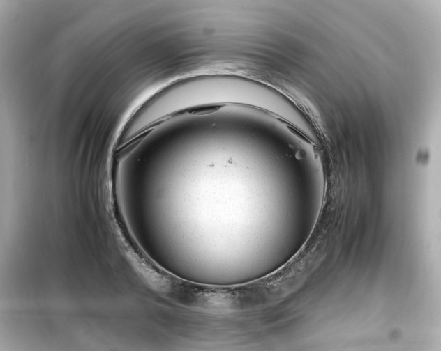 X0000099490792200805221337