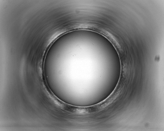 X0000099490794200805221337