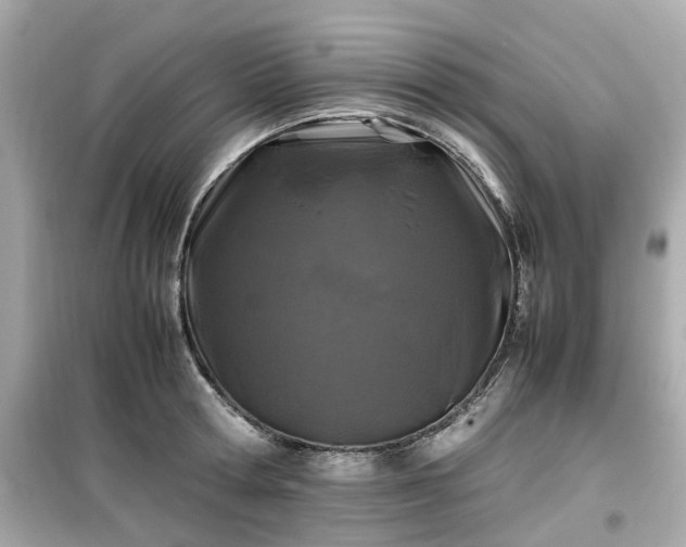 X0000099490802200805221336
