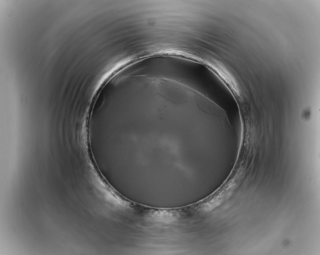 X0000099490806200805221336