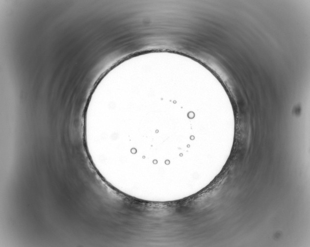X0000099490807200805221336