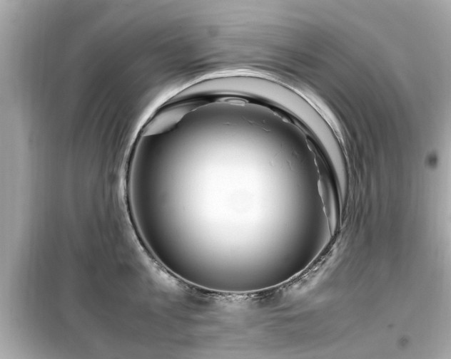 X0000099490813200805221336