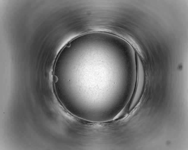 X0000099490814200805221336