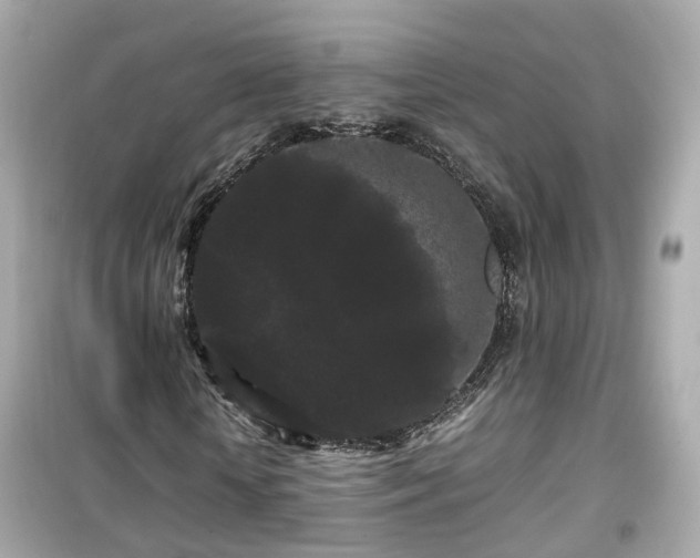 X0000099490818200805221335