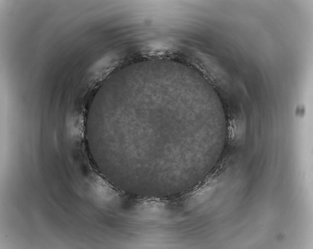X0000099490820200805221336