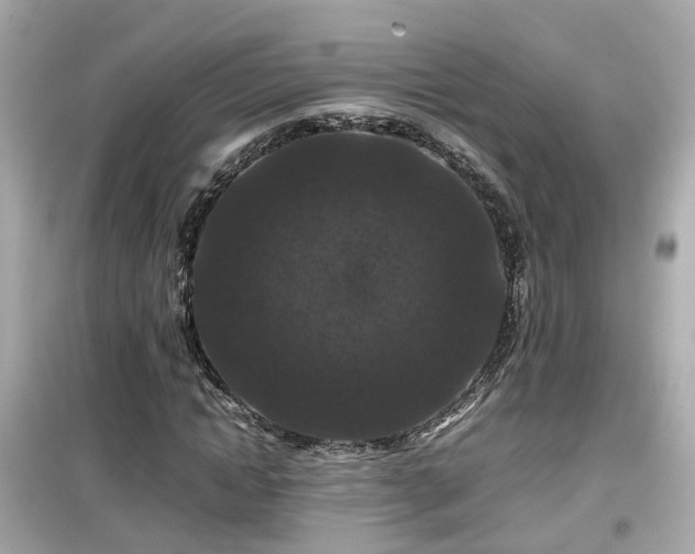 X0000099490822200805221336