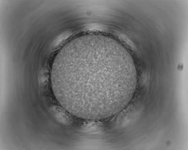 X0000099490824200805221336
