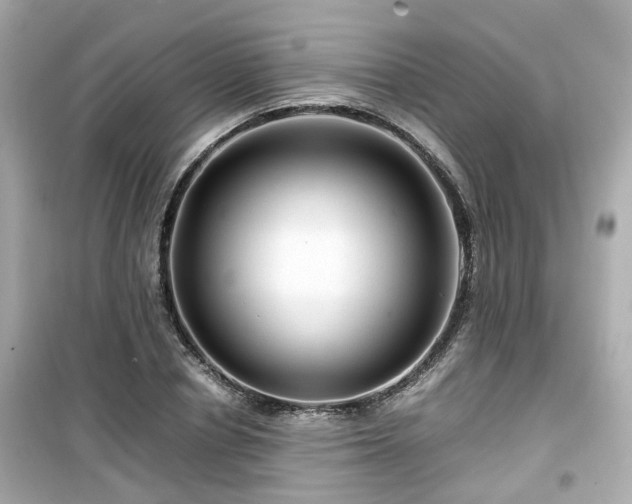 X0000099490834200805221336