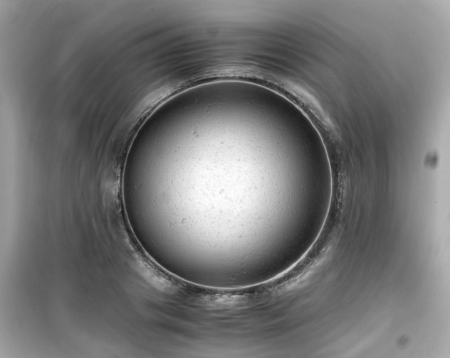X0000099490841200805221336