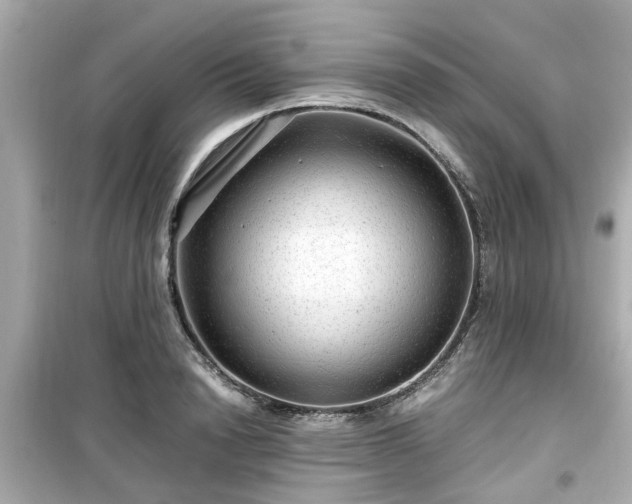 X0000099490846200805221336