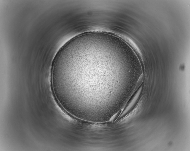 X0000099490847200805221336