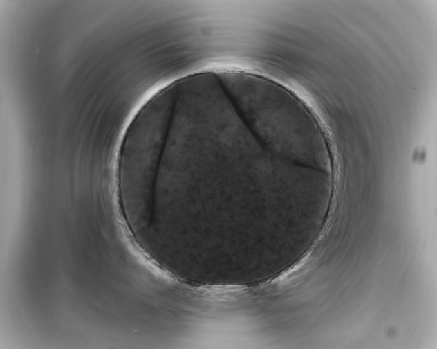X0000099490864200805221336