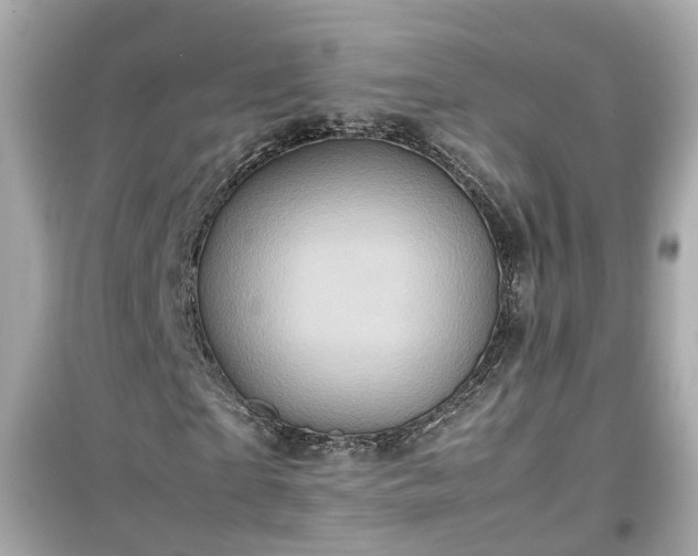 X0000099490865200805221335