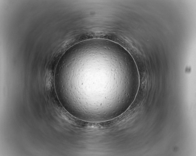 X0000099490866200805221335