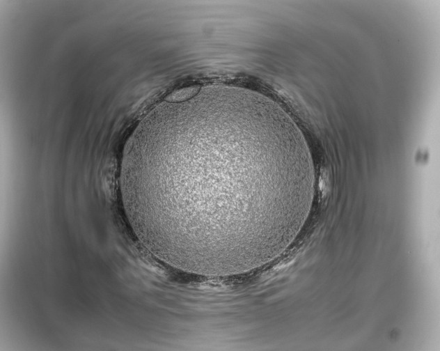 X0000099490867200805221335