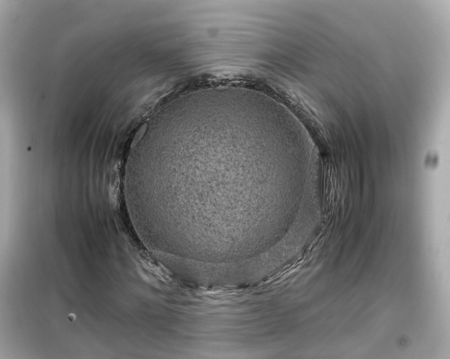 X0000099490868200805221335