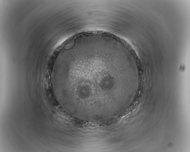 X0000099490871200805221335