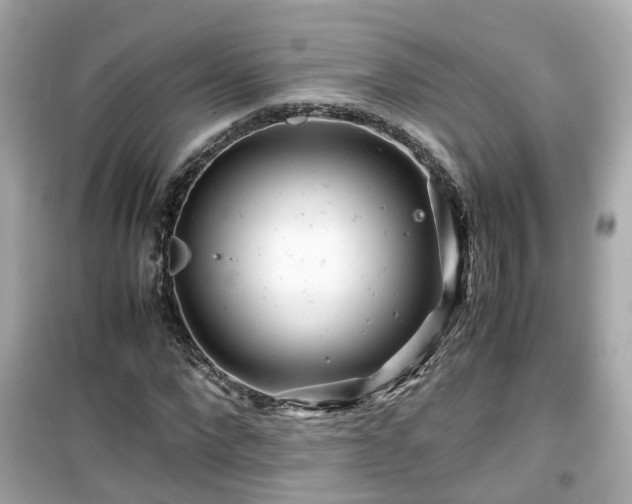 X0000099490872200805221335