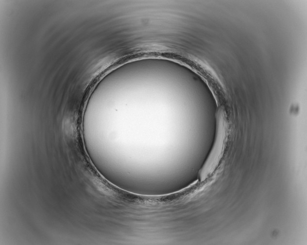 X0000099490873200805221335