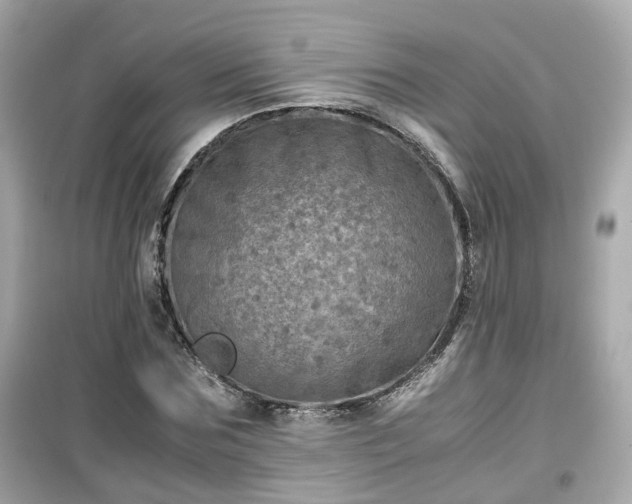 X0000099490875200805221335
