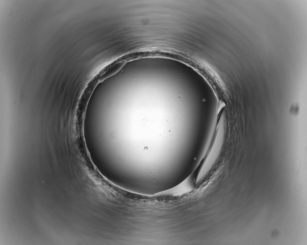 X0000099490876200805221335
