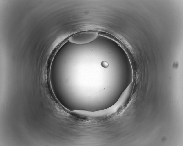 X0000099490877200805221335