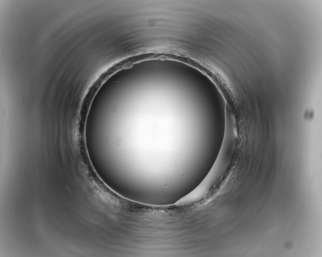 X0000099490880200805221335
