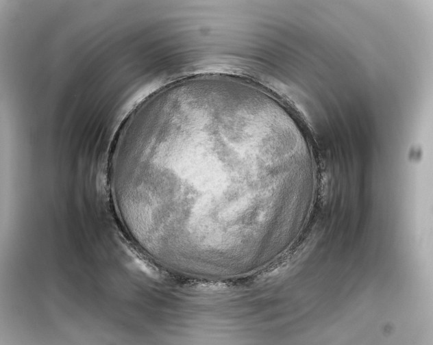 X0000099490882200805221335