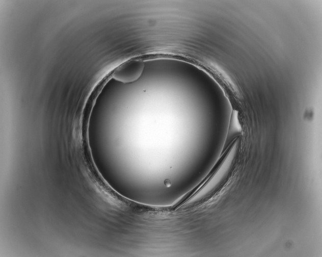 X0000099490884200805221335