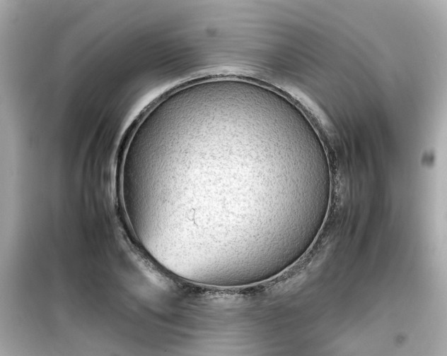 X0000099490886200805221335