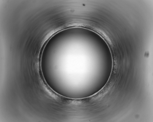 X0000099490890200805221335