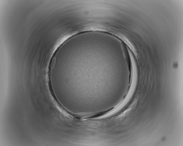 X0000099490893200805221335