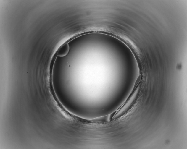 X0000099490894200805221335