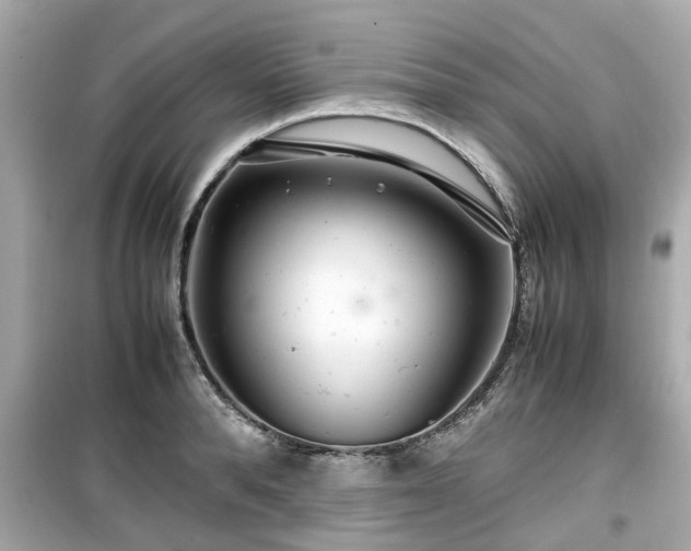 X0000099490896200805221335