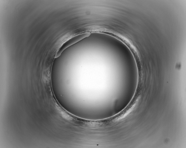 X0000099490897200805221335