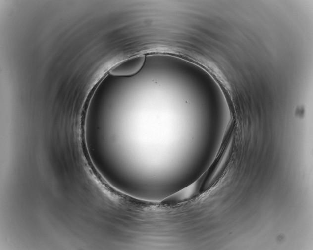 X0000099490898200805221335