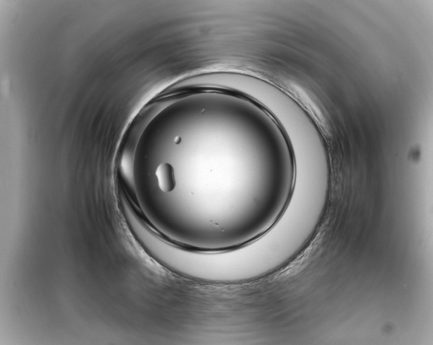 X0000099490900200805221335