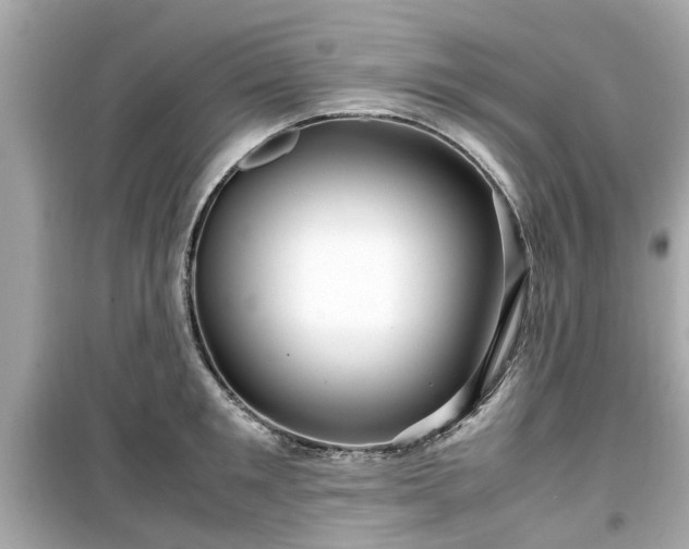 X0000099490901200805221335