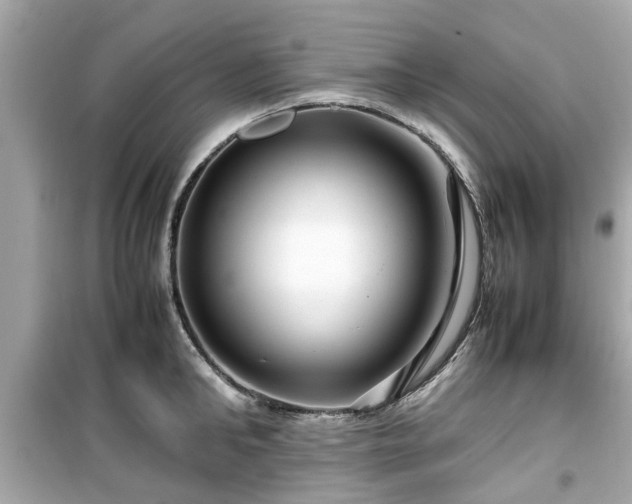 X0000099490902200805221335