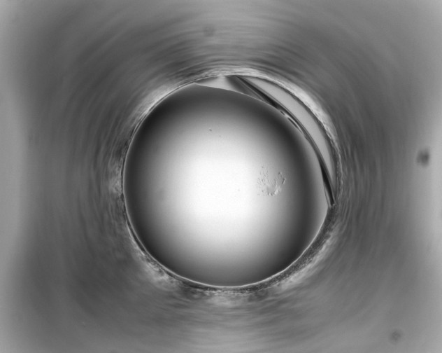 X0000099490905200805221335