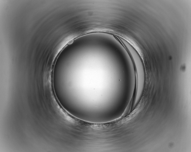 X0000099490906200805221335