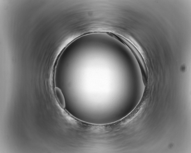 X0000099490909200805221335