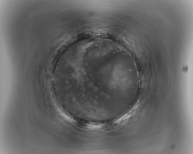 X0000099490913200805221334