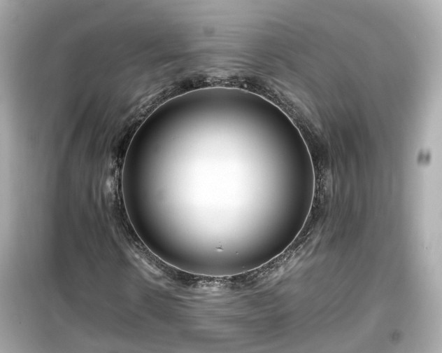 X0000099490914200805221334