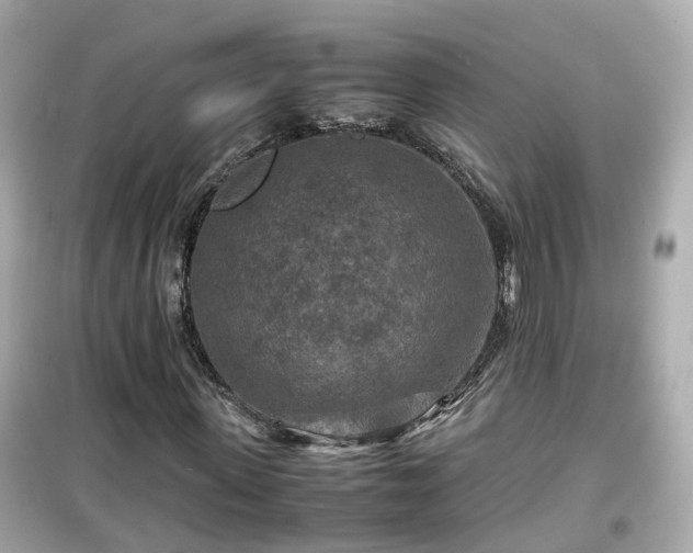 X0000099490915200805221334